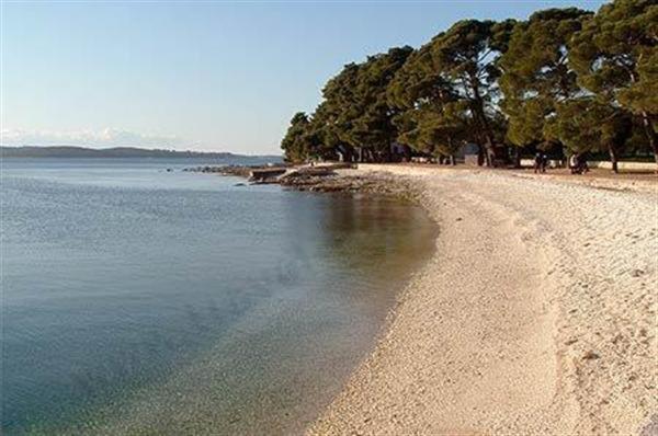 Apartman Nensi Διαμέρισμα Vodnjan Εξωτερικό φωτογραφία